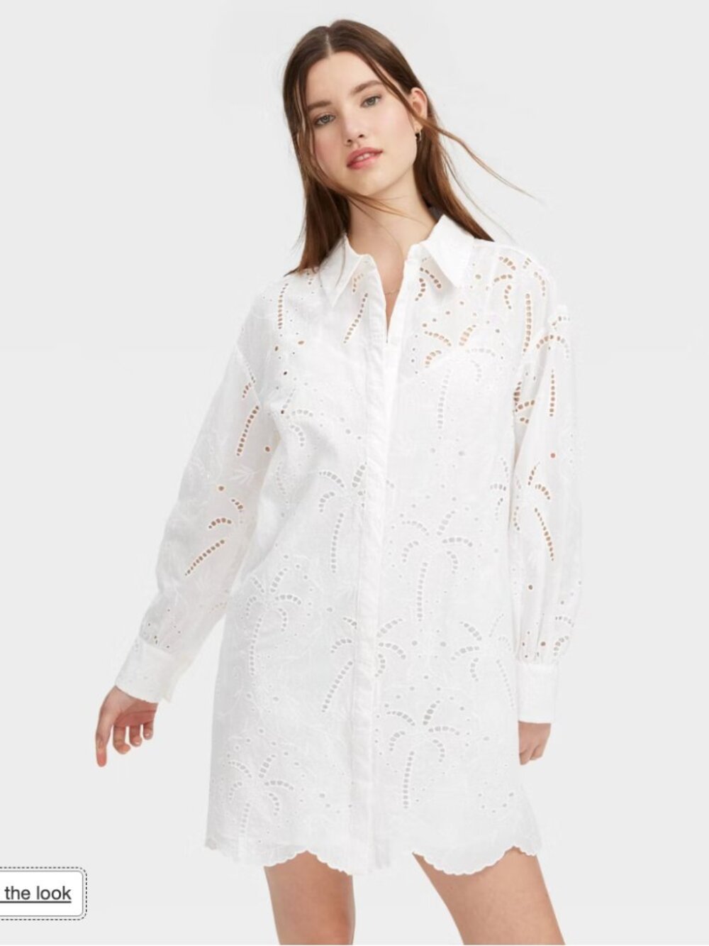 Roller Rabbit x Target - Long Sleeve Eyelet Embroidered Collared Mini Shirtdress